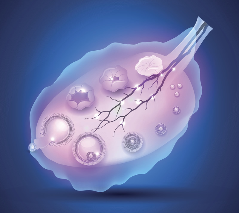 济宁试管婴儿医院选择指南：2026年与技术对比，附本地生殖科医生与费用解析